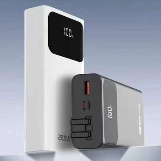 PAVAREAL G10 20000mAh Power Bank with Cable & LED Display